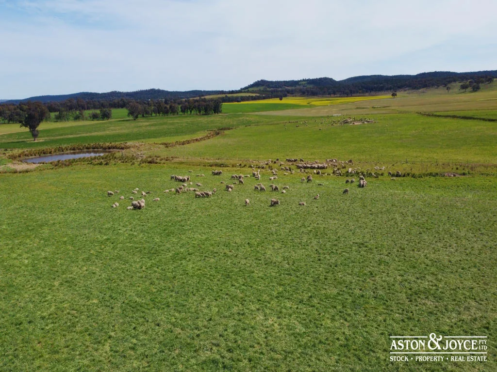 Additional image 32 of 3378 Mid Western Highway, Grenfell NSW 2810