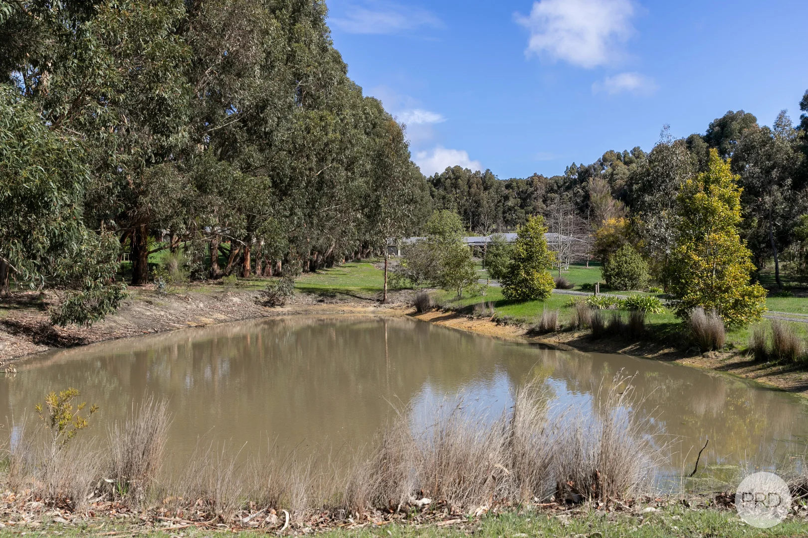 Additional image 19 of 130 White Swan Road, Invermay VIC 3352