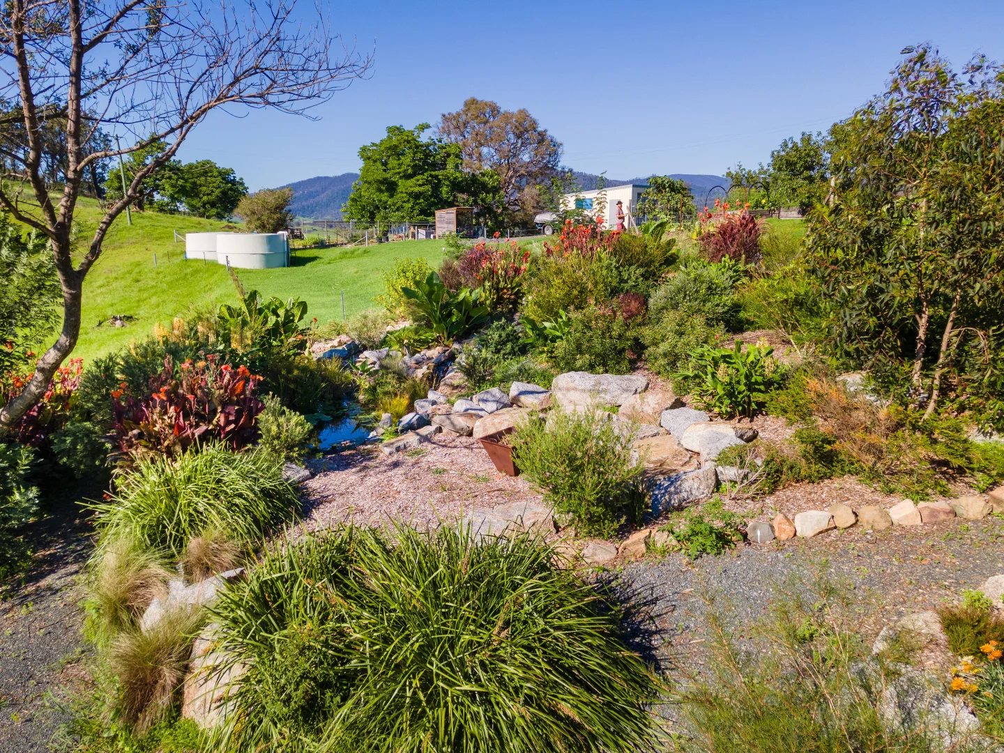 Additional image 19 of 23 County Boundary Road, Cobargo NSW 2550