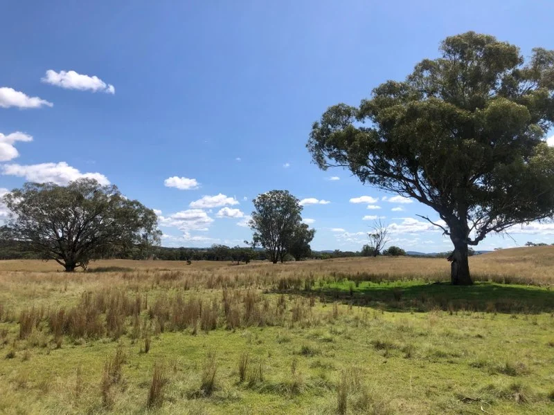 Additional image 7 of Nullamanna NSW 2360