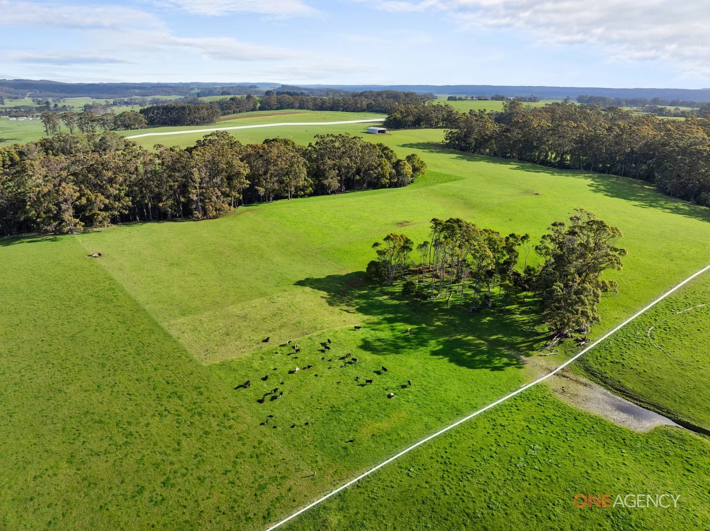 Additional image 12 of 450 Irishtown Road, Irishtown TAS 7330