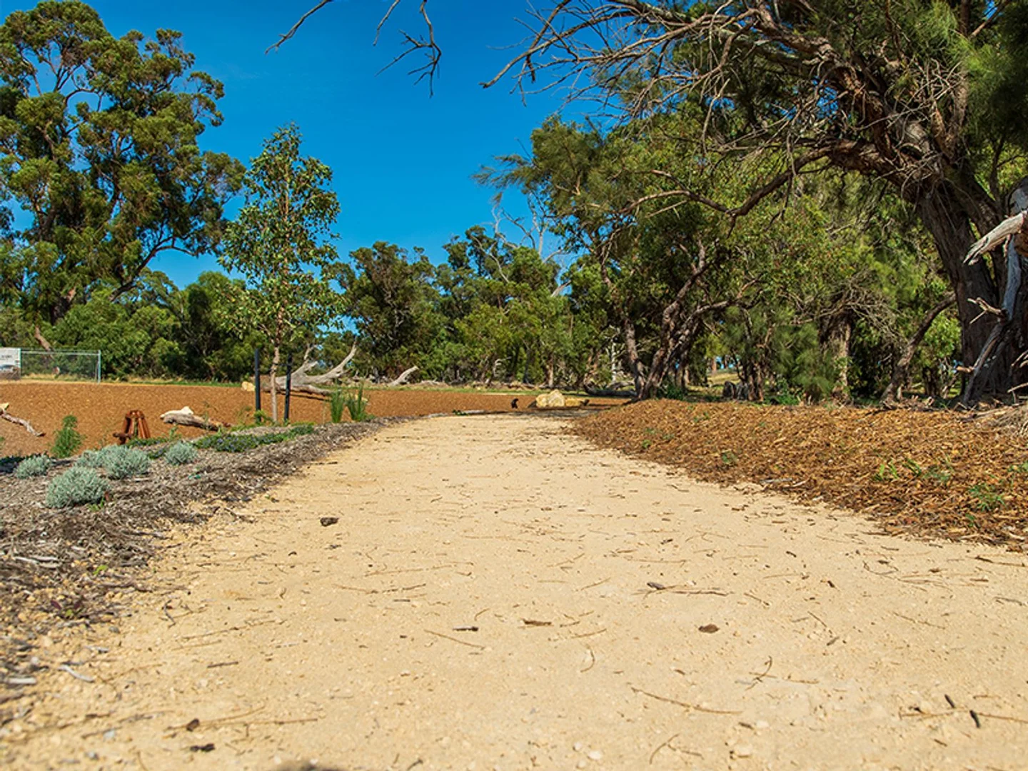 Additional image 23 of Lot 50 Borlaug Circuit, Baldivis WA 6171