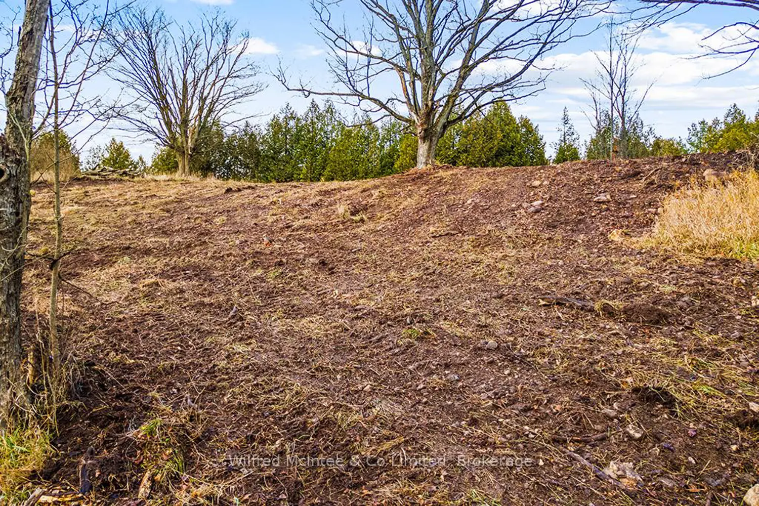 Additional image 6 of Ptlt 16 5 Side Road Part 2 16R6350