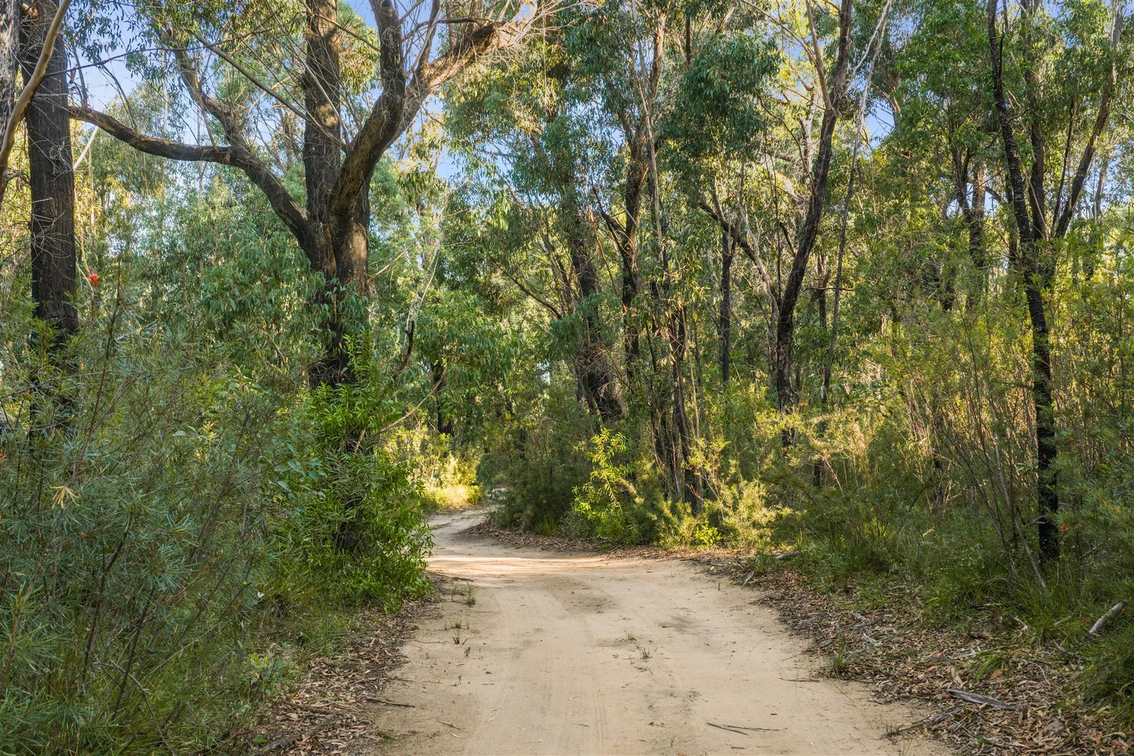 Additional image 7 of 161 Teudts Road, Bundanoon NSW 2578