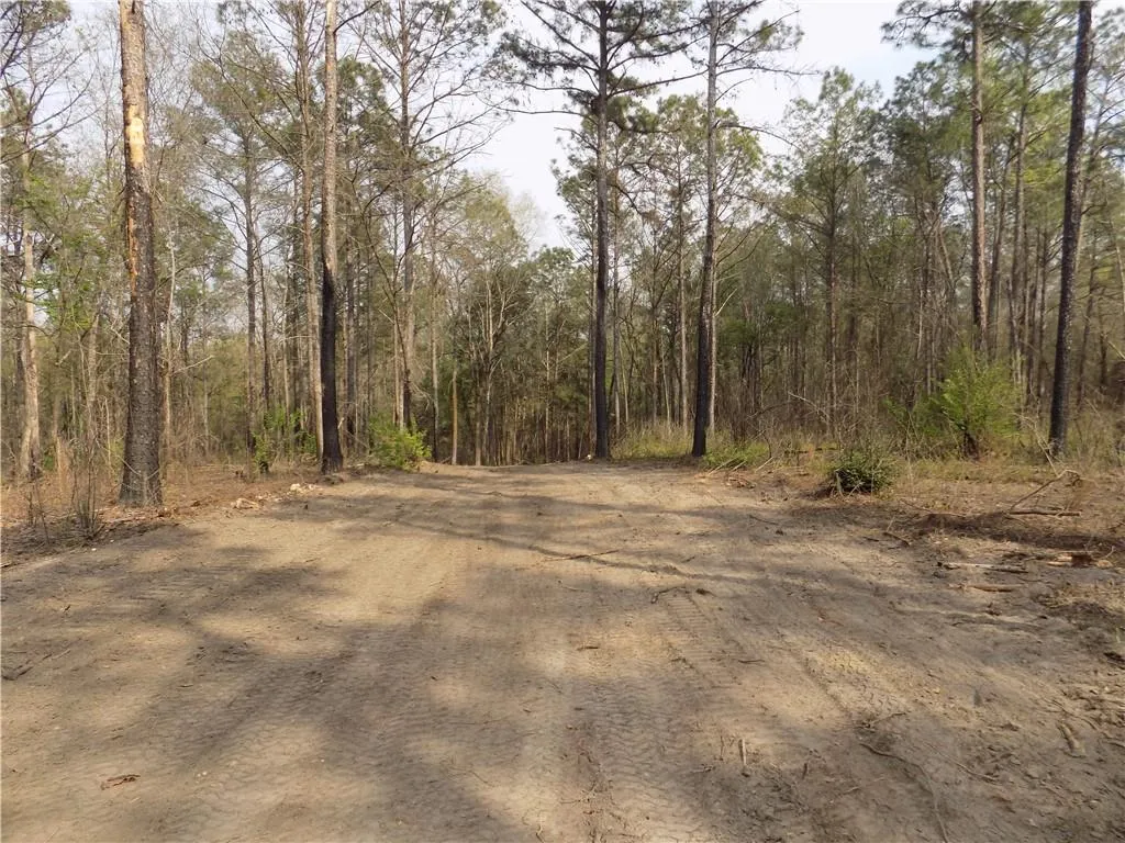 Additional image 18 of Lot 2 Macon County Road 24, Auburn, AL 36830