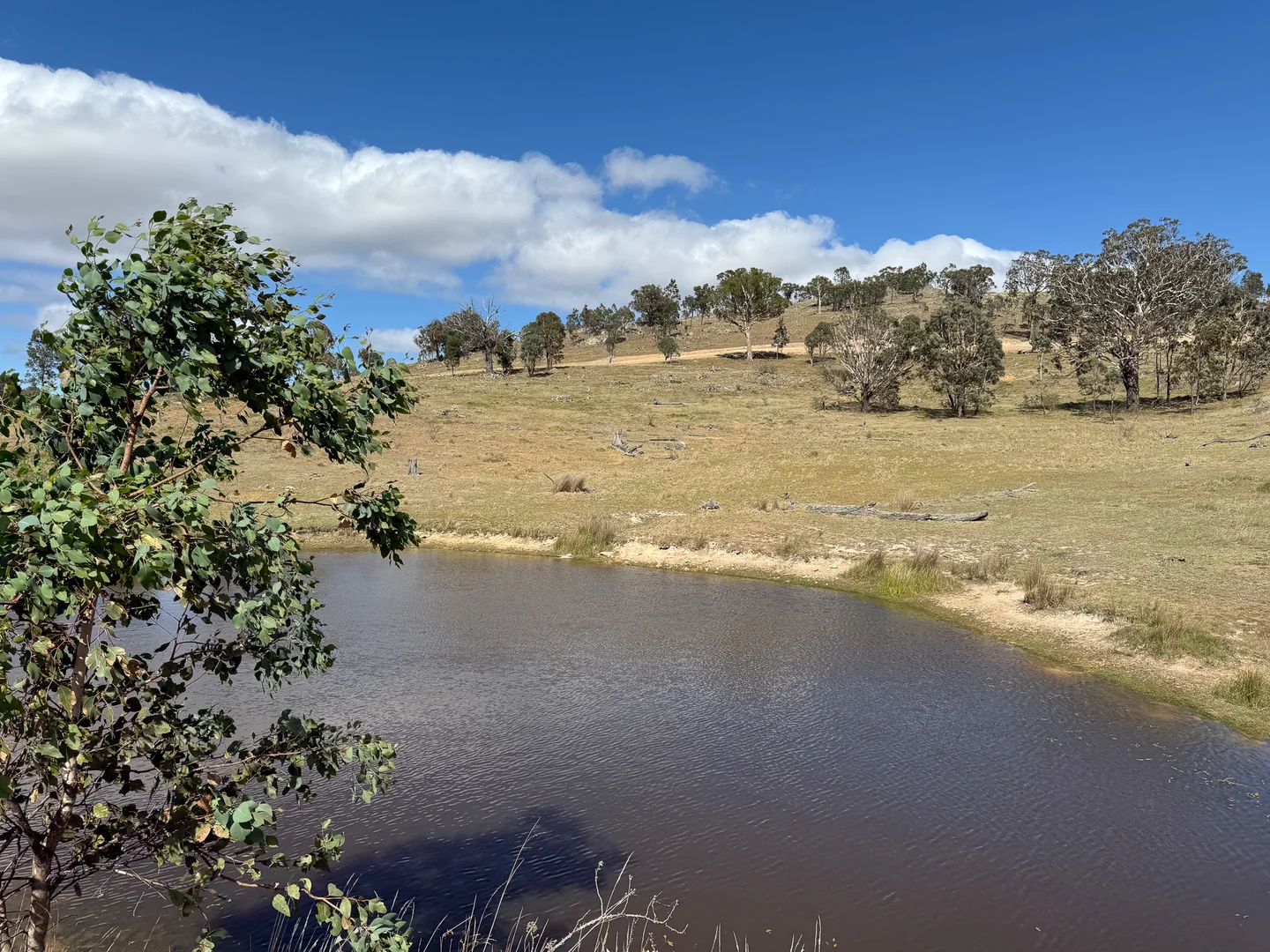 Additional image 6 of 1690 Cooks Hill Road, Yass NSW 2582