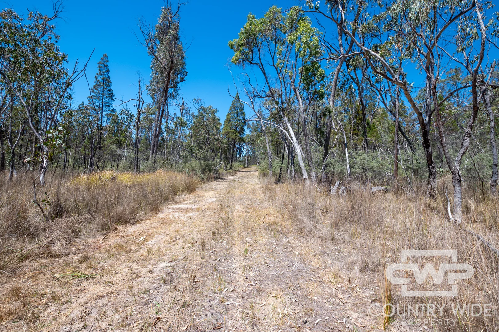 Additional image 3 of 11 Old Stannifer Road, Gilgai NSW 2360