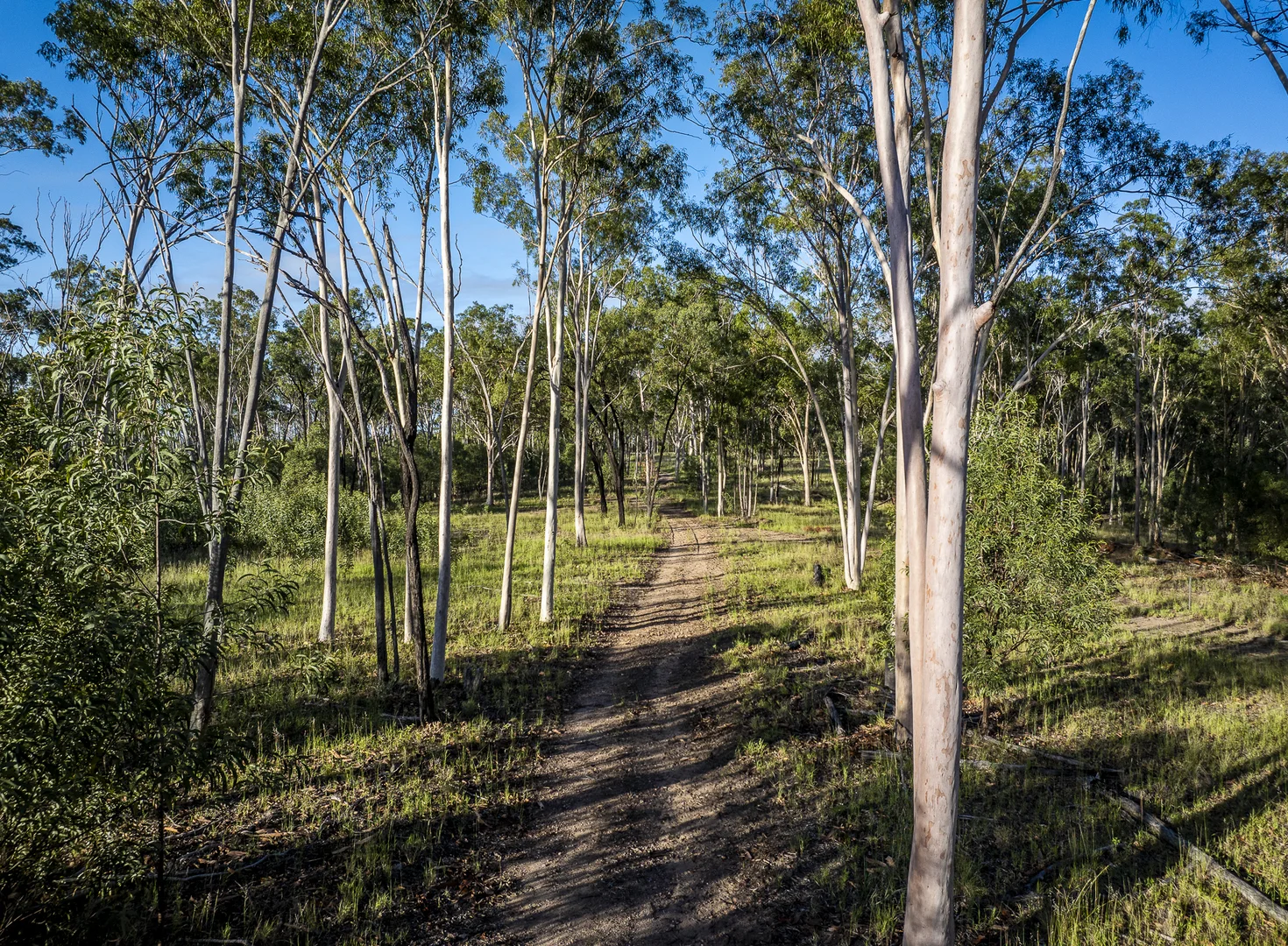 Additional image 15 of 833 Fosters Road, Guluguba QLD 4418