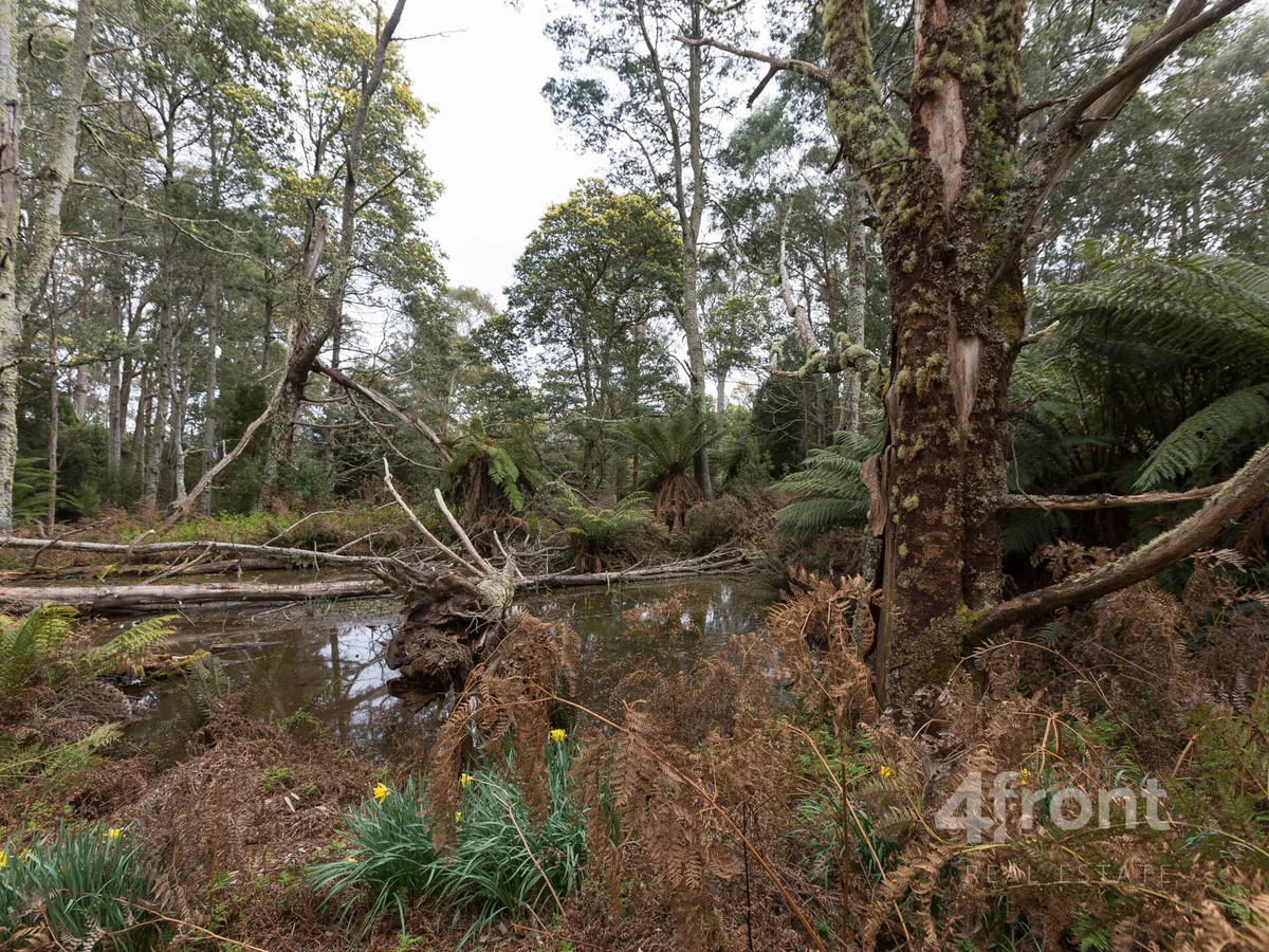 Additional image 13 of 1 and 2/141 Tiers View Road, Golden Valley TAS 7304