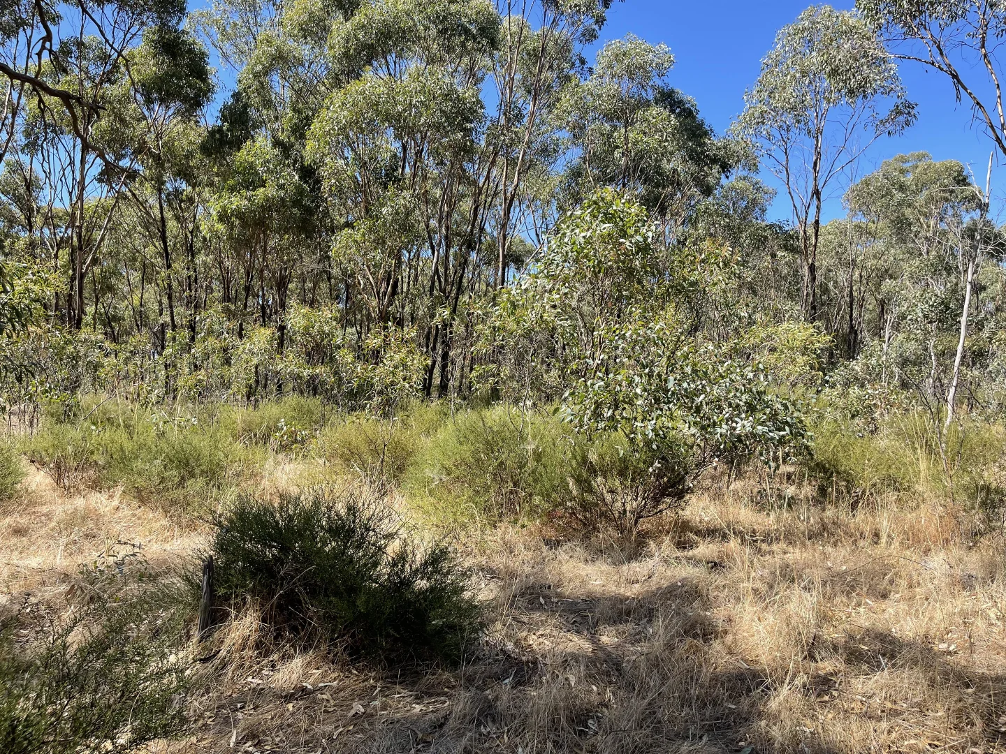 Additional image 11 of 0 Carapooee Road, St Arnaud East VIC 3477