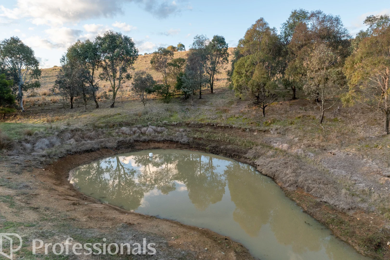 Additional image 21 of 174 Emu Swamp Road, Orange NSW 2800