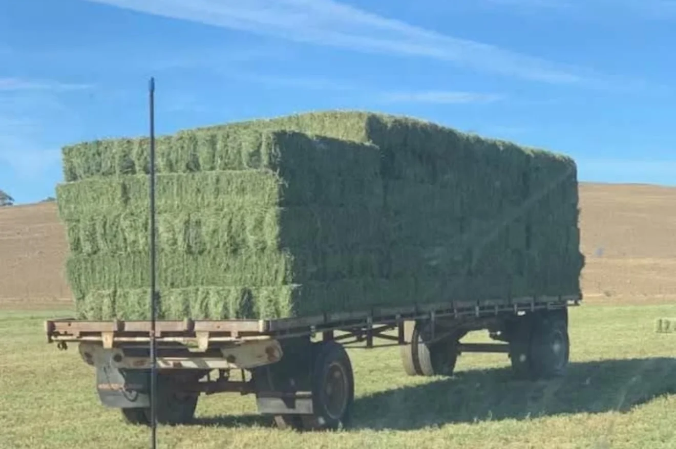 Additional image 8 of 2350 George Russell Drive, Canowindra NSW 2804