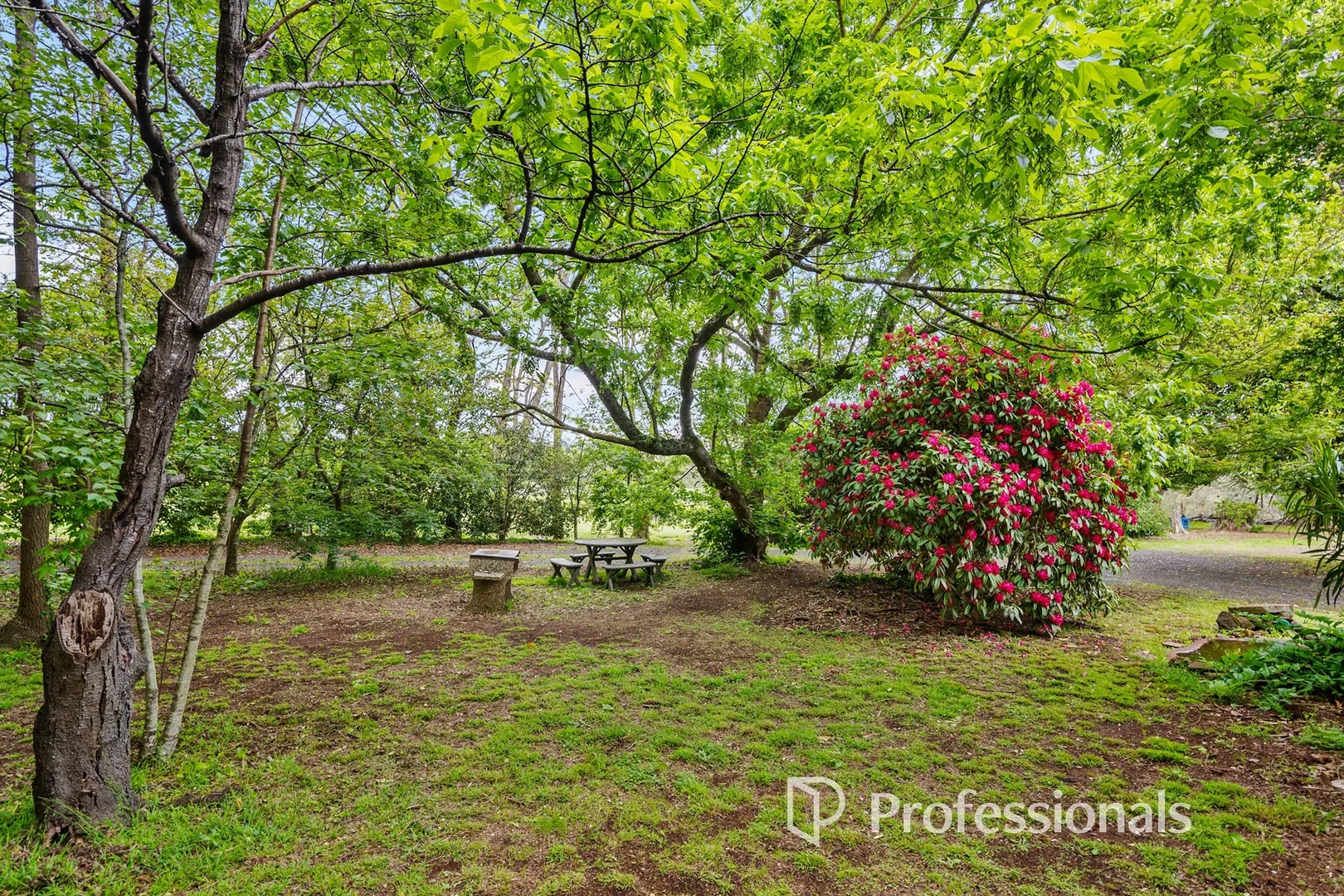 Additional image 3 of 71 Beenak Road, Wandin North VIC 3139