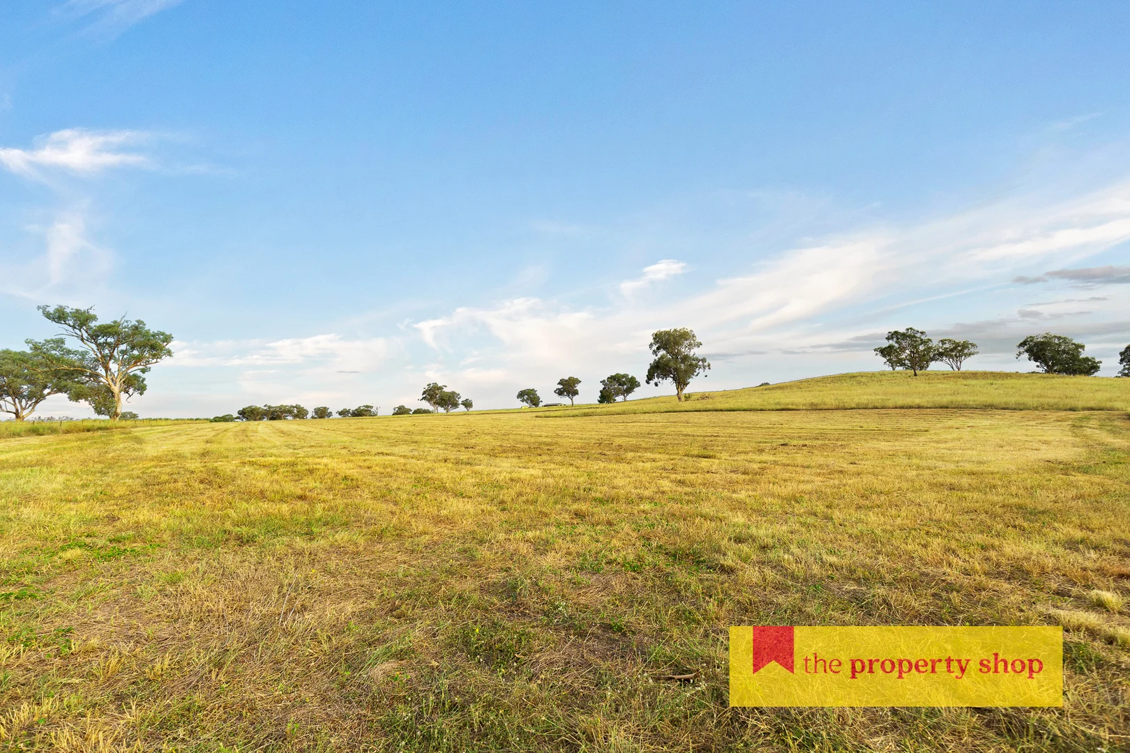 Additional image 4 of 705 Springfield Lane, Gulgong NSW 2852