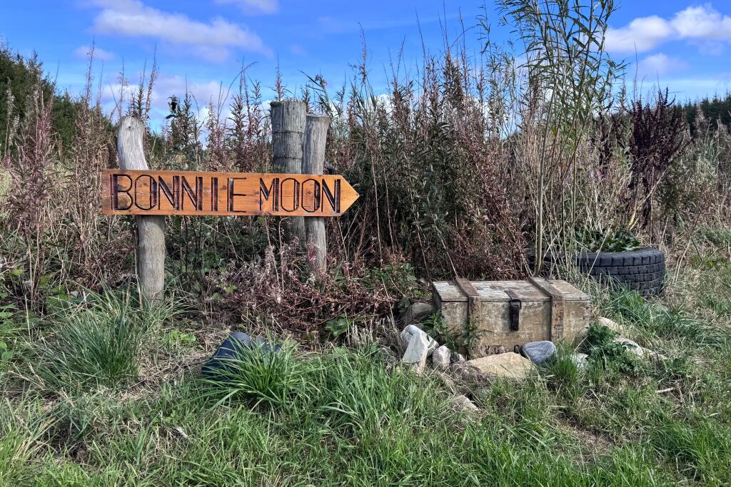 Additional image 2 of Bracobrae, Keith, AB55