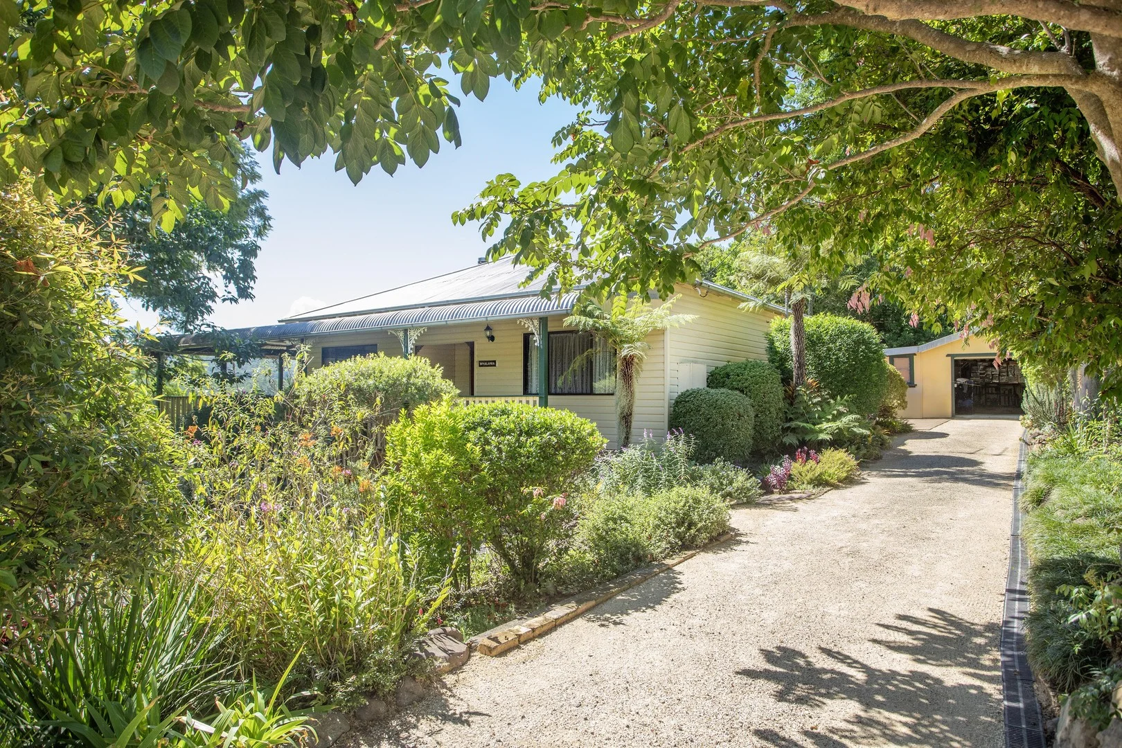 1694 Comboyne Road, Killabakh NSW 2429