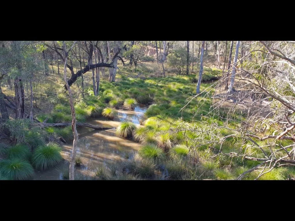 Additional image 2 of Limevale QLD 4384