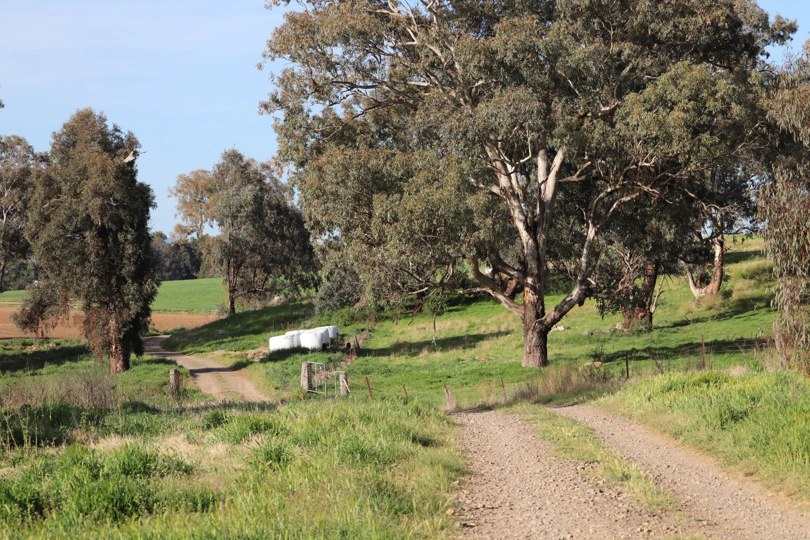 Additional image 26 of 2350 George Russell Drive, Canowindra NSW 2804