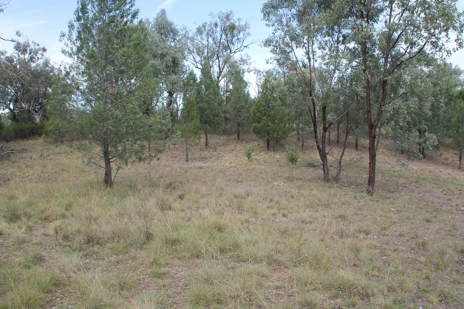 Additional image 6 of Lot 19 Mountain Creek Road, Tenterfield NSW 2372