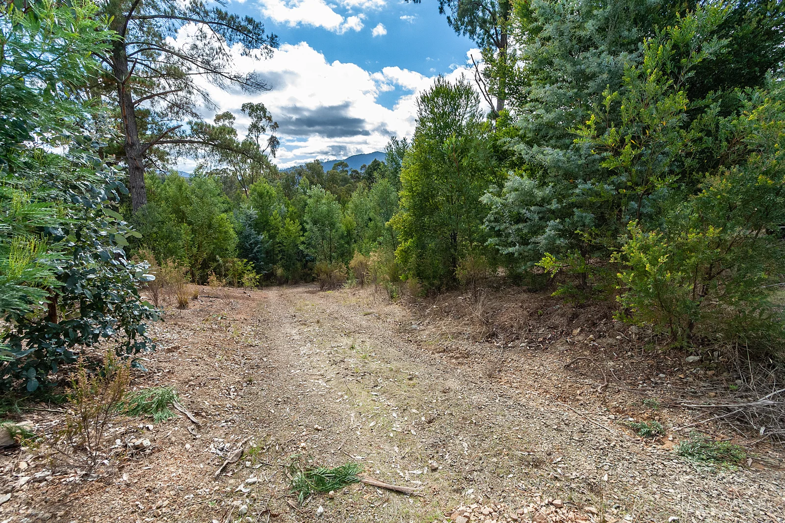 Additional image 13 of 158 Taylor Bay Right Arm Road, Taylor Bay VIC 3713