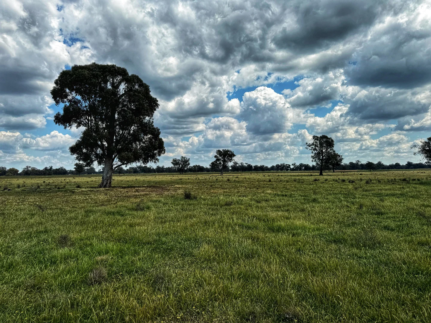 Additional image 6 of Part Rosewood Taweni Road, Peak Hill NSW 2869