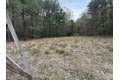 Additional image 28 of Old Bradley Rd, Mardela Springs, MD, 21837