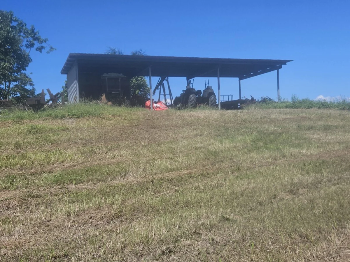 Additional image 3 of 2 Hawkins Creek Road, Hawkins Creek QLD 4850