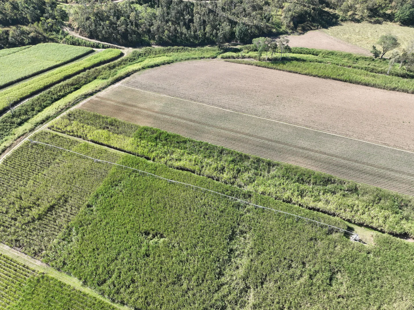 Additional image 11 of Finch Hatton QLD 4756