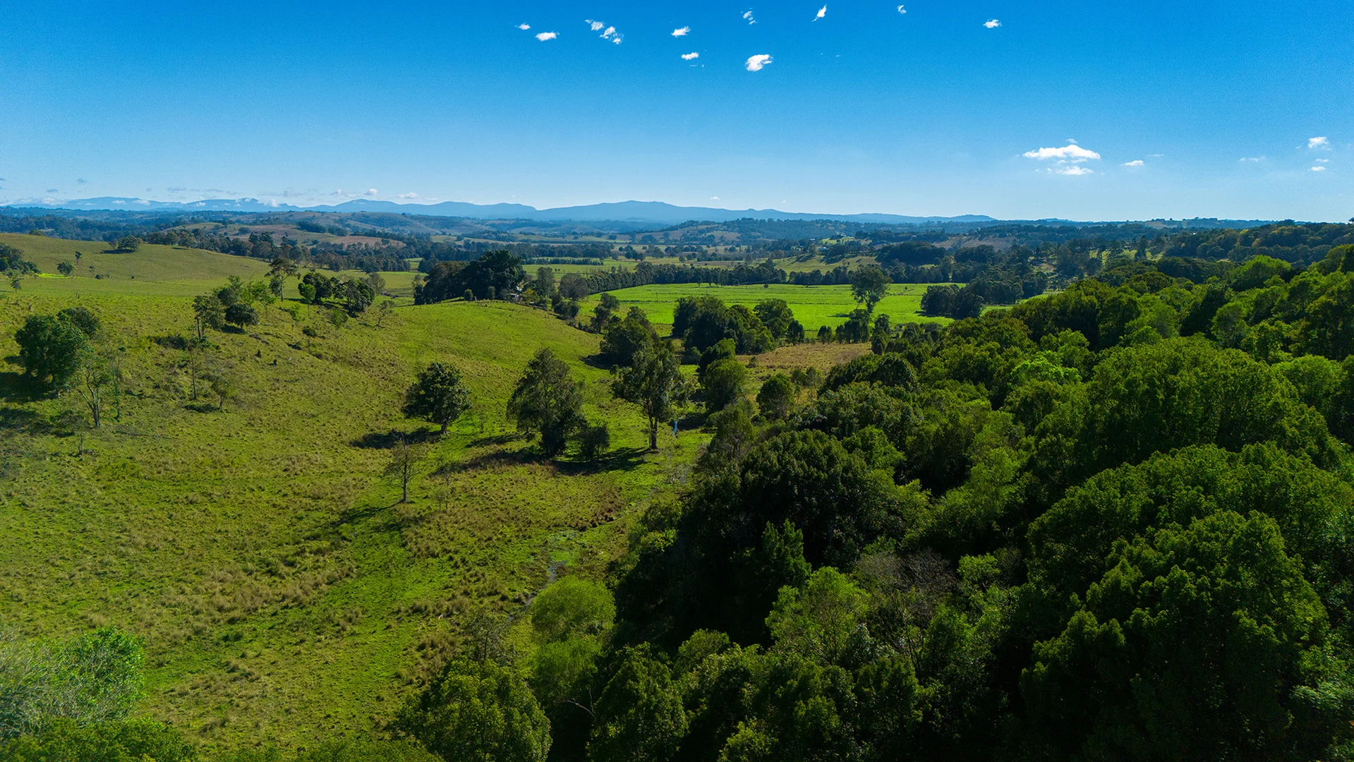 Additional image 16 of 48 Lincoln Avenue, McLeans Ridges NSW 2480