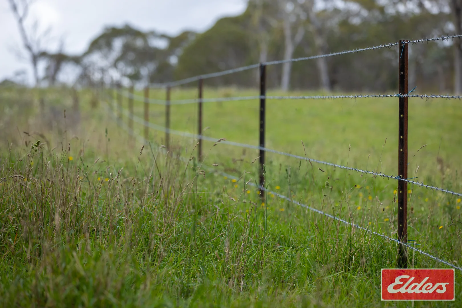 Additional image 20 of 72 Guyra Road, Ebor NSW 2453