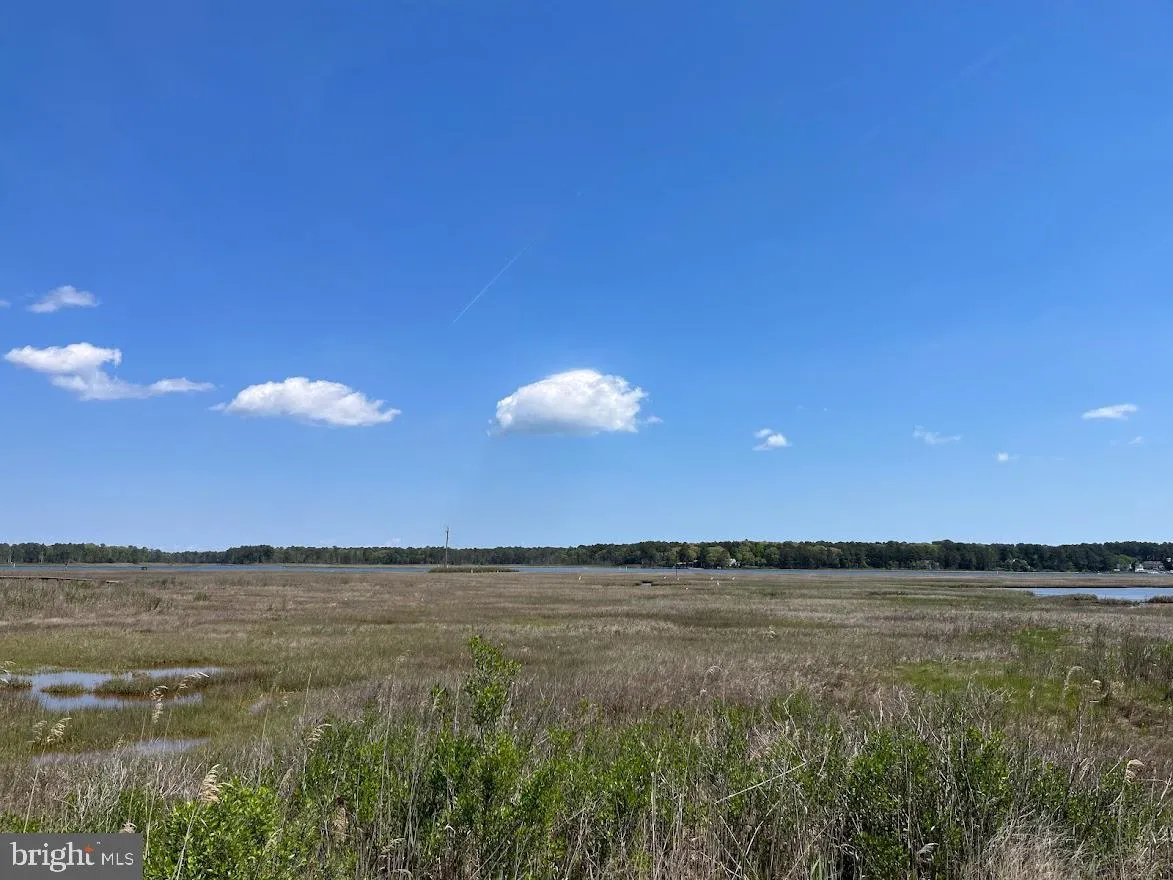 Additional image 105 of 34523 Morning Side Drive Unit 1552, Long Neck, DE 19966