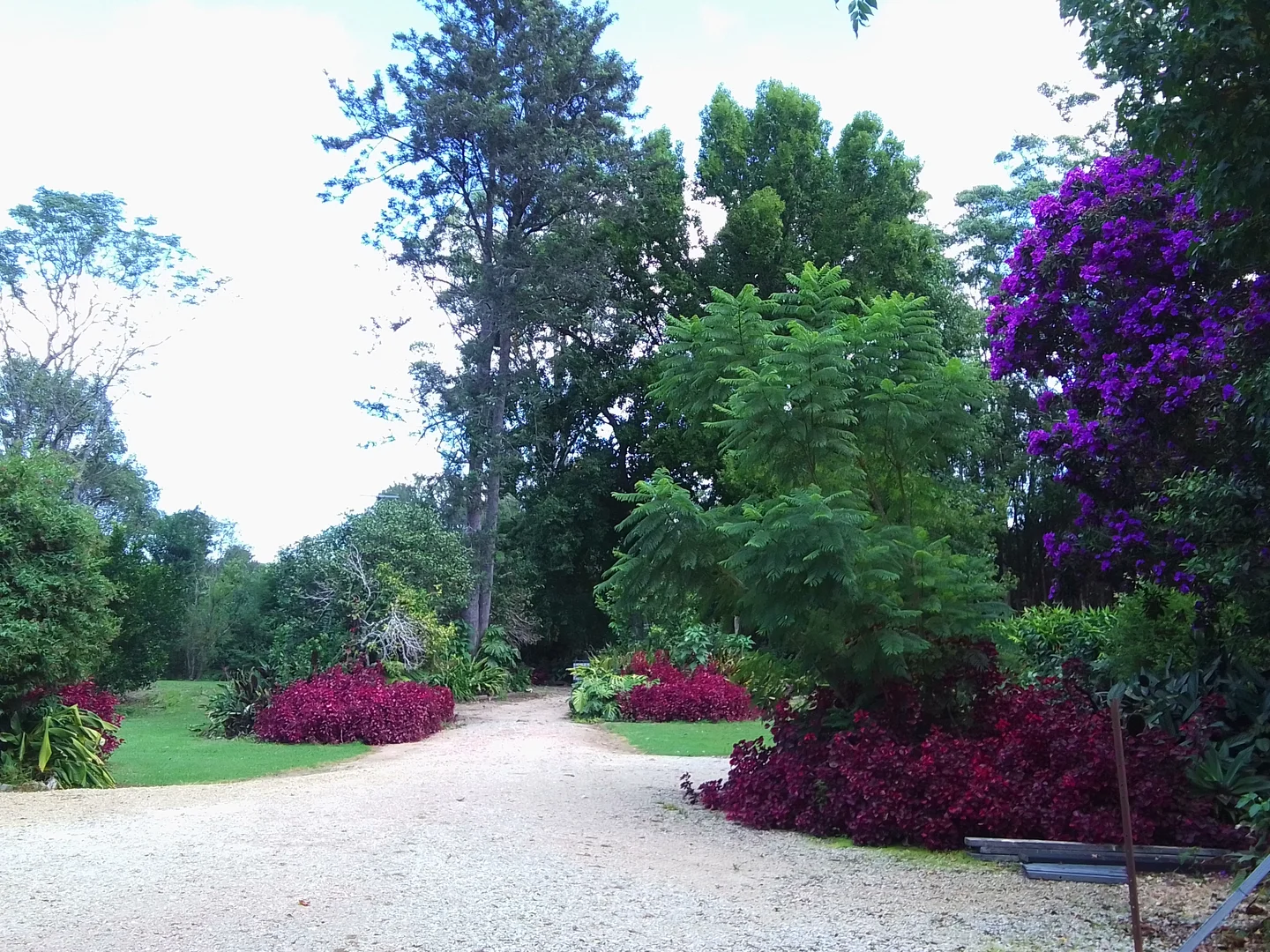 Additional image 5 of 538 Missabotti Road, Missabotti NSW 2449