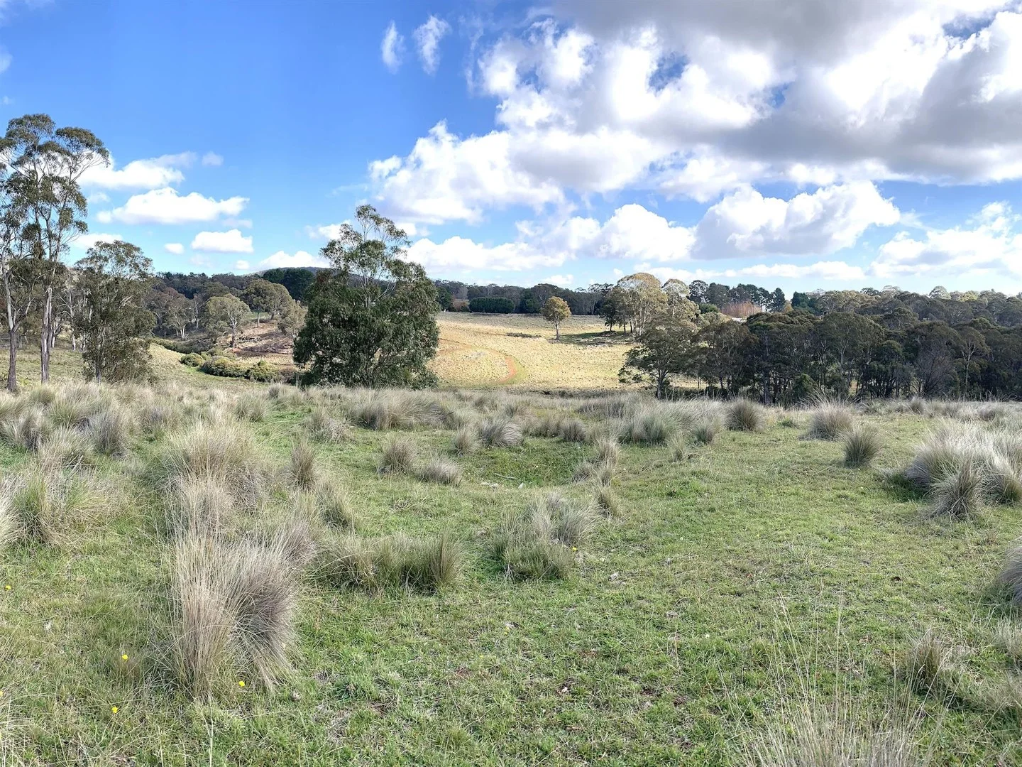 Hanging Rock NSW 2340