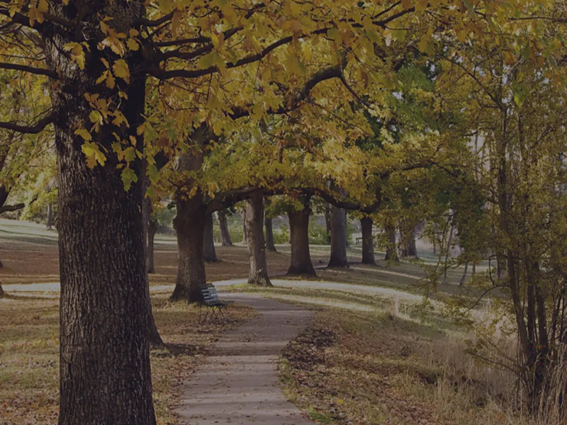 Additional image 18 of Ambrosia Estate, Kyneton VIC 3444