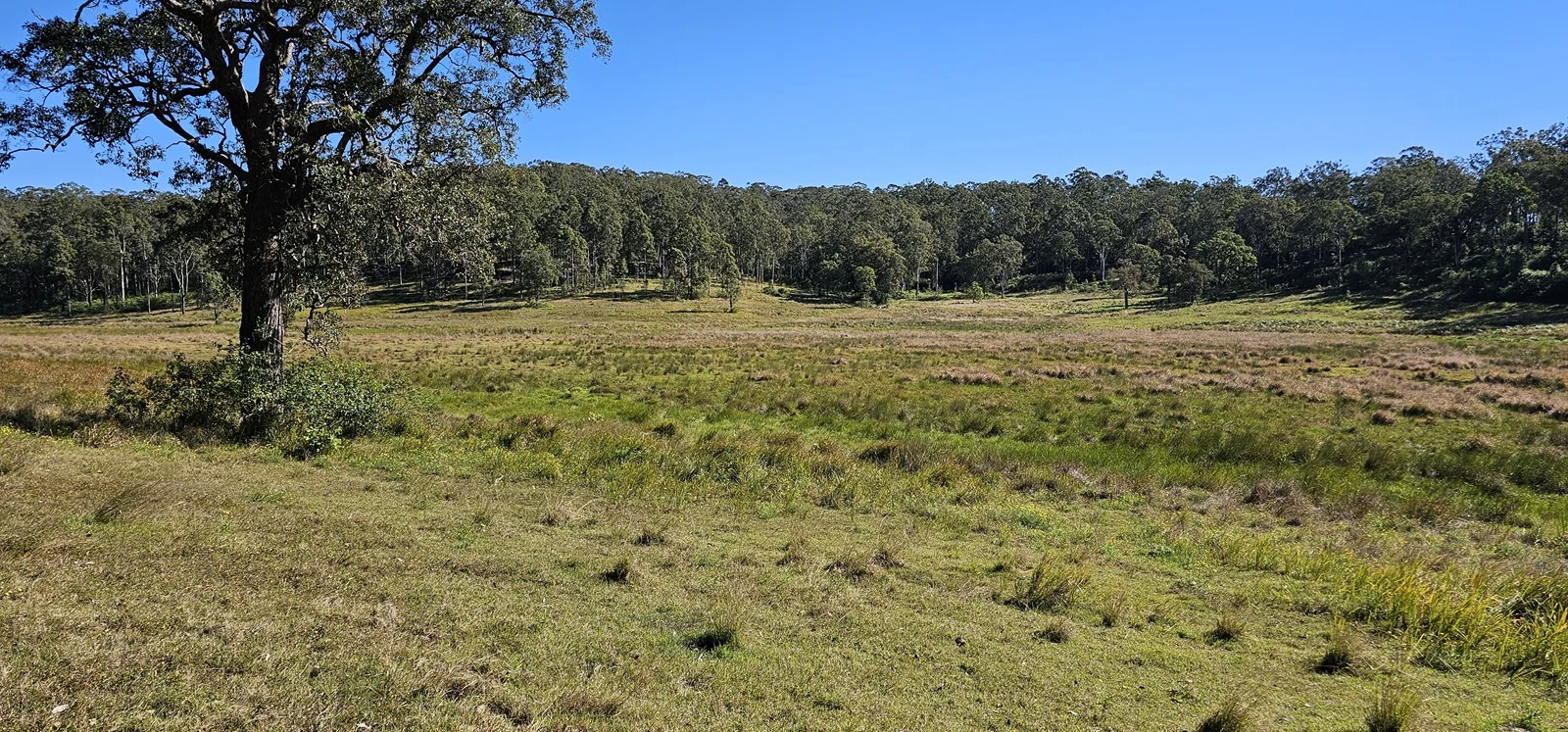 Additional image 9 of 981 Old Dyraaba Road, Lower Dyraaba NSW 2470