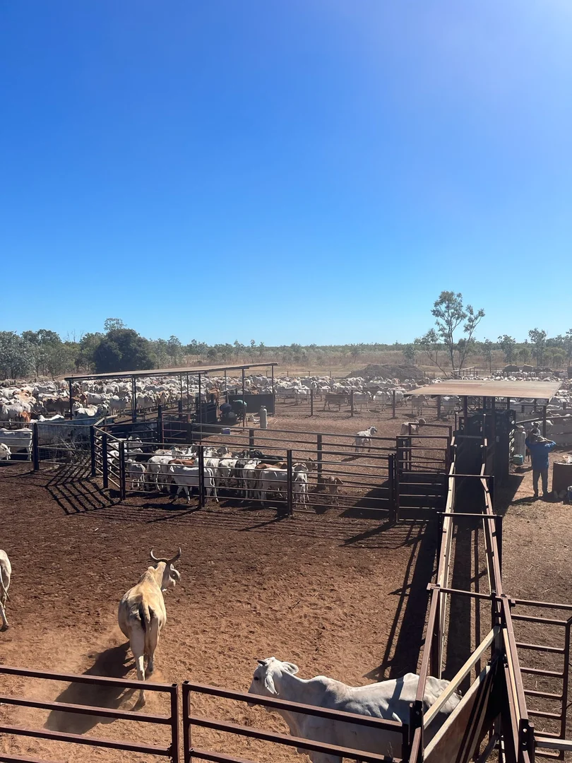 Additional image 10 of 0 Burke Developmental Road, Normanton QLD 4890