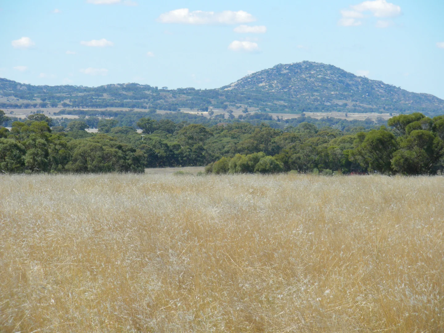 Additional image 18 of 6803 Calder Highway, Wedderburn VIC 3518