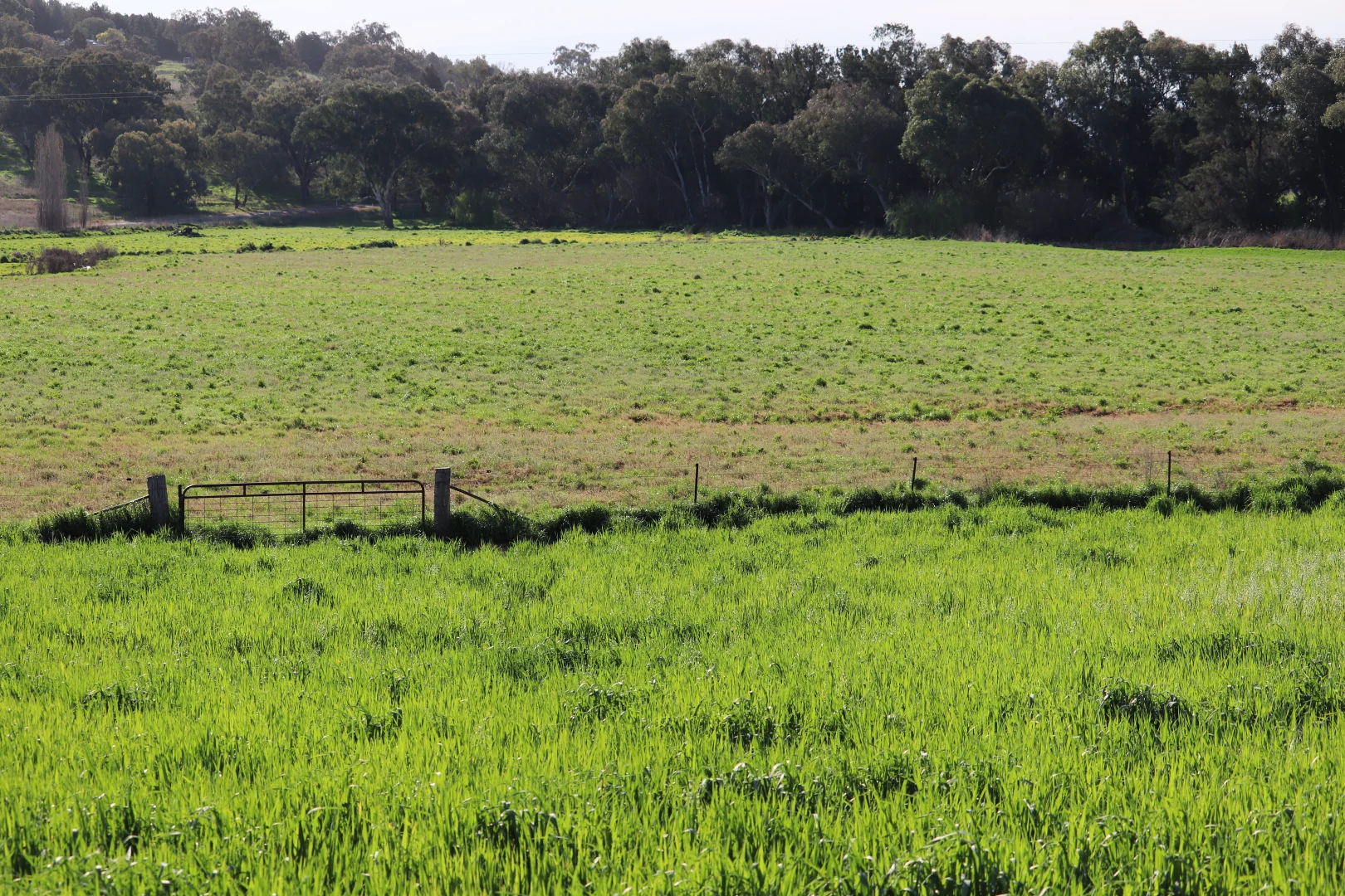 Additional image 21 of 2350 George Russell Drive, Canowindra NSW 2804