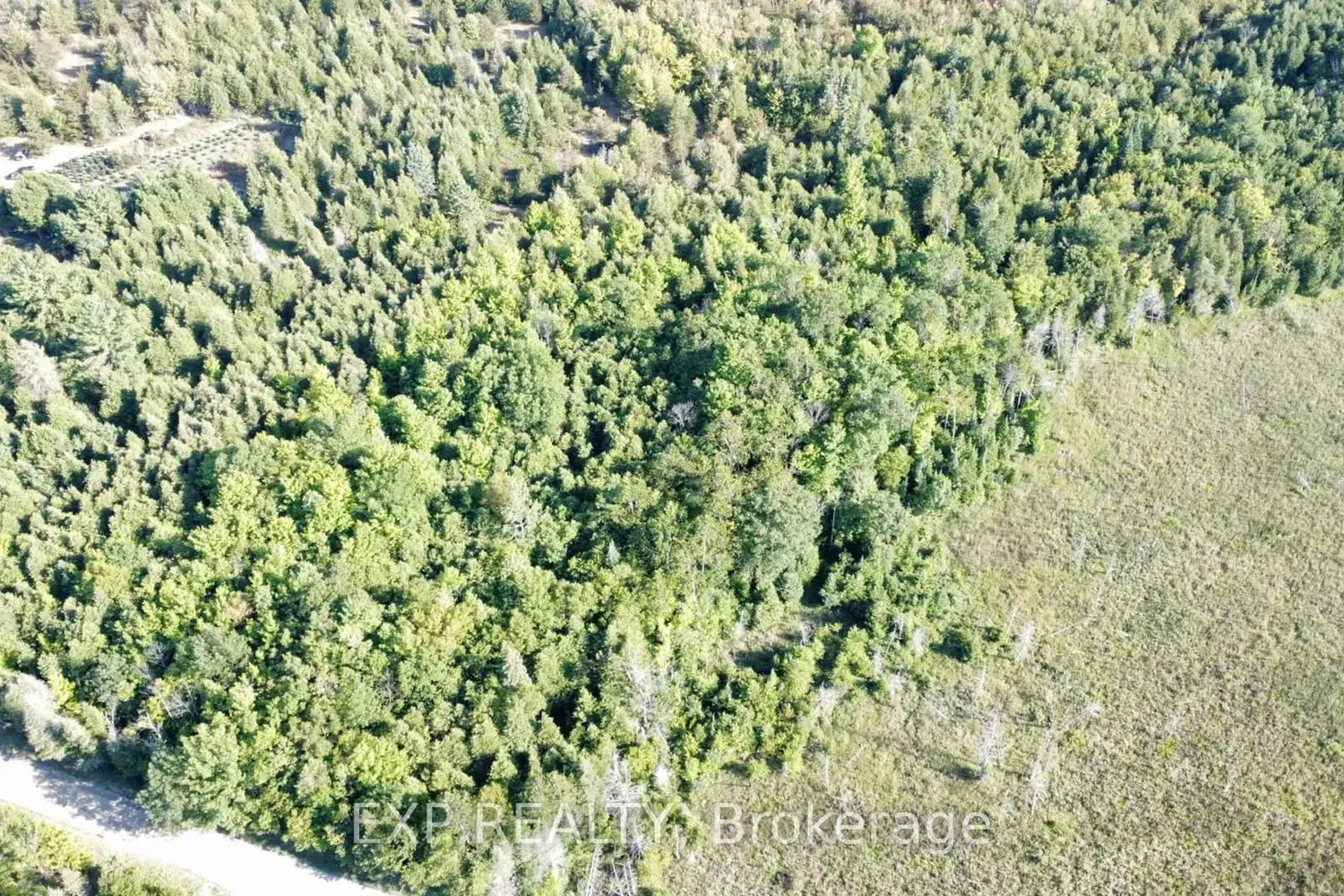 Additional image 4 of 2822 Shannon Road