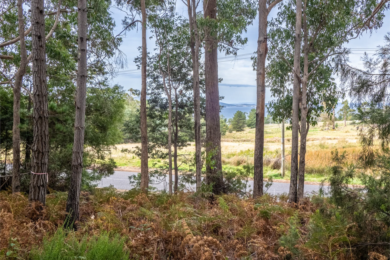 Additional image 6 of Channel Highway, Flowerpot TAS 7163