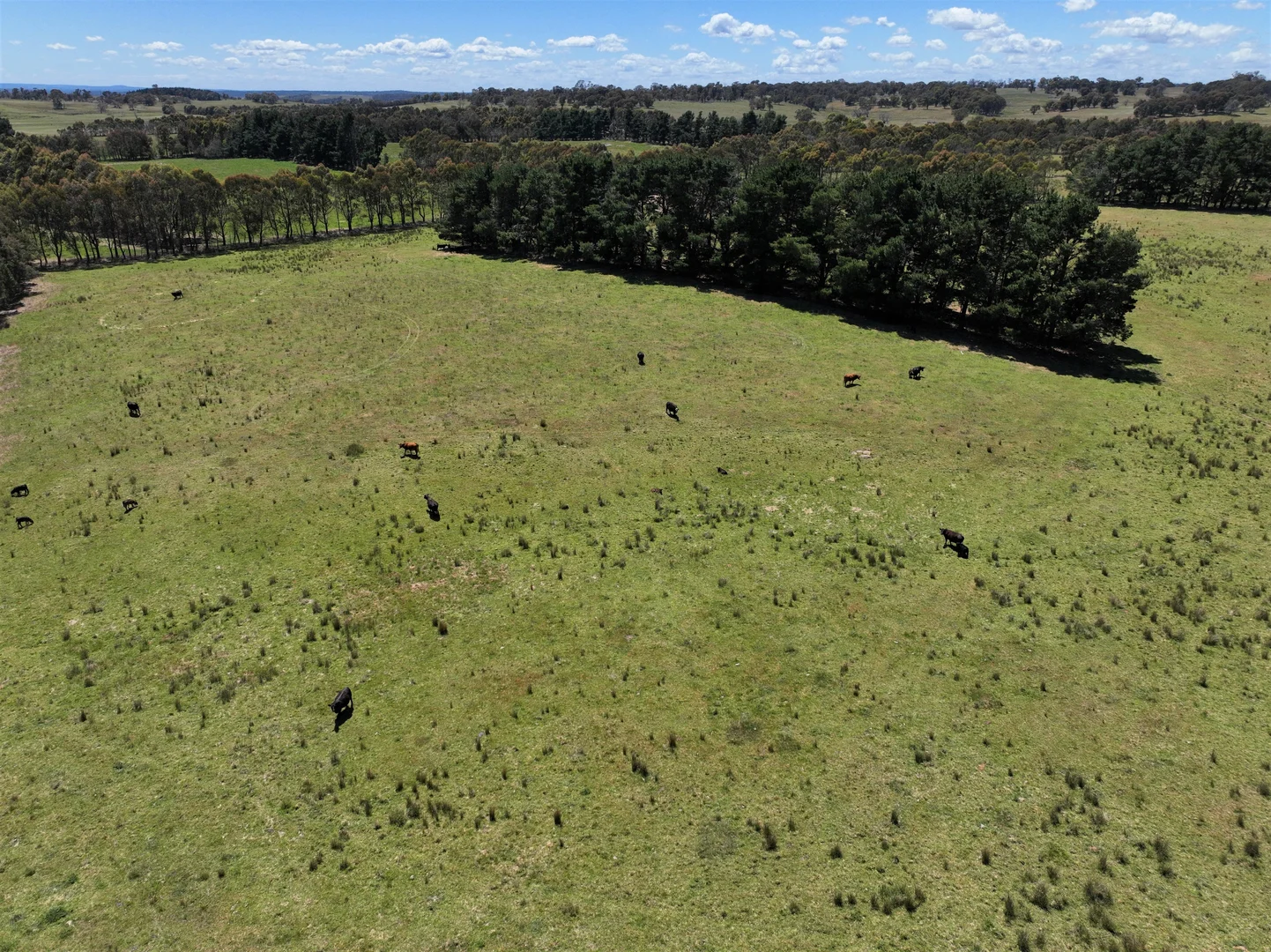 Additional image 20 of Lot 1 Mount Rae Road, Roslyn, Crookwell NSW 2583