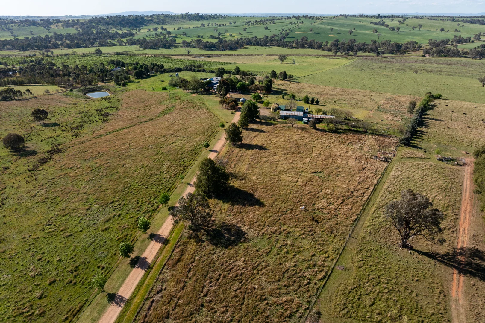 Additional image 37 of 251 Pattersons Lane, Young NSW 2594