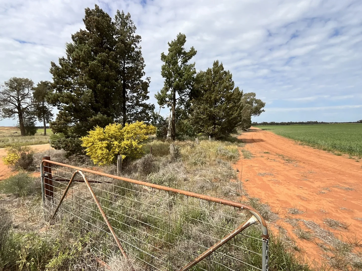 Additional image 8 of Myall Park NSW 2681