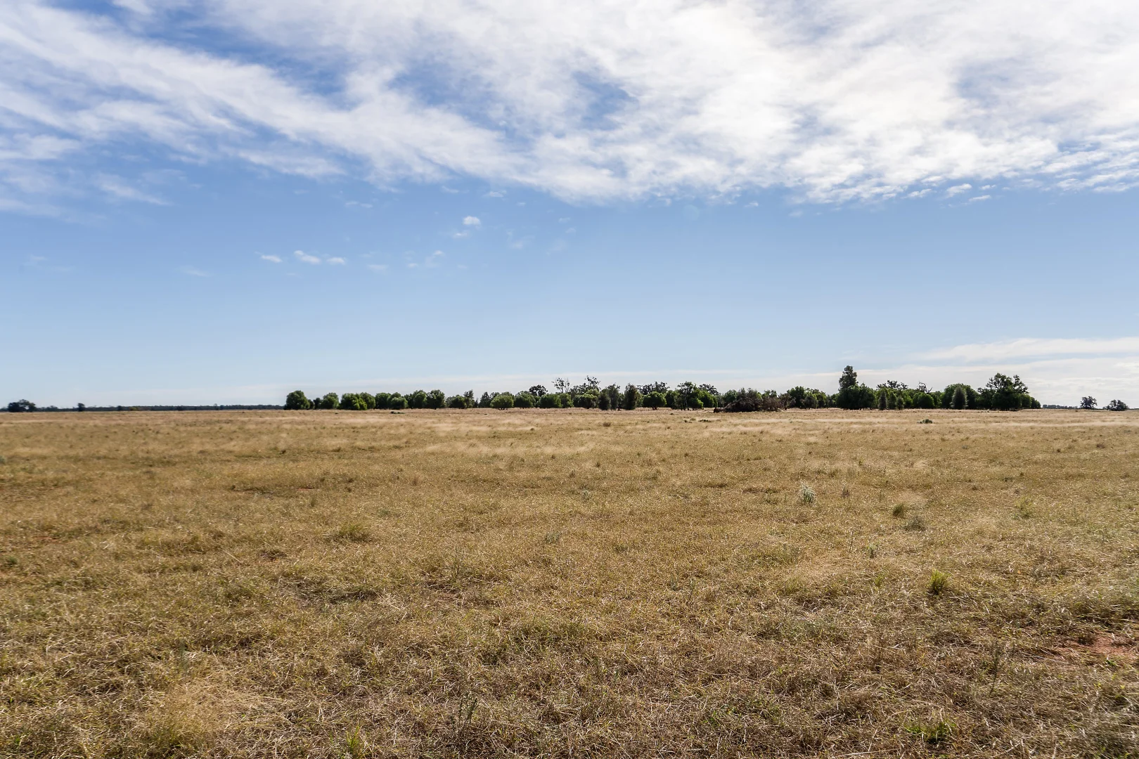 Additional image 18 of 4229 Bobadah Road, Bobadah NSW 2877