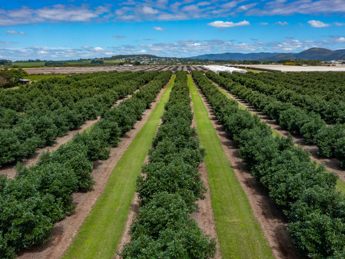 Additional image 4 of Atherton QLD 4883