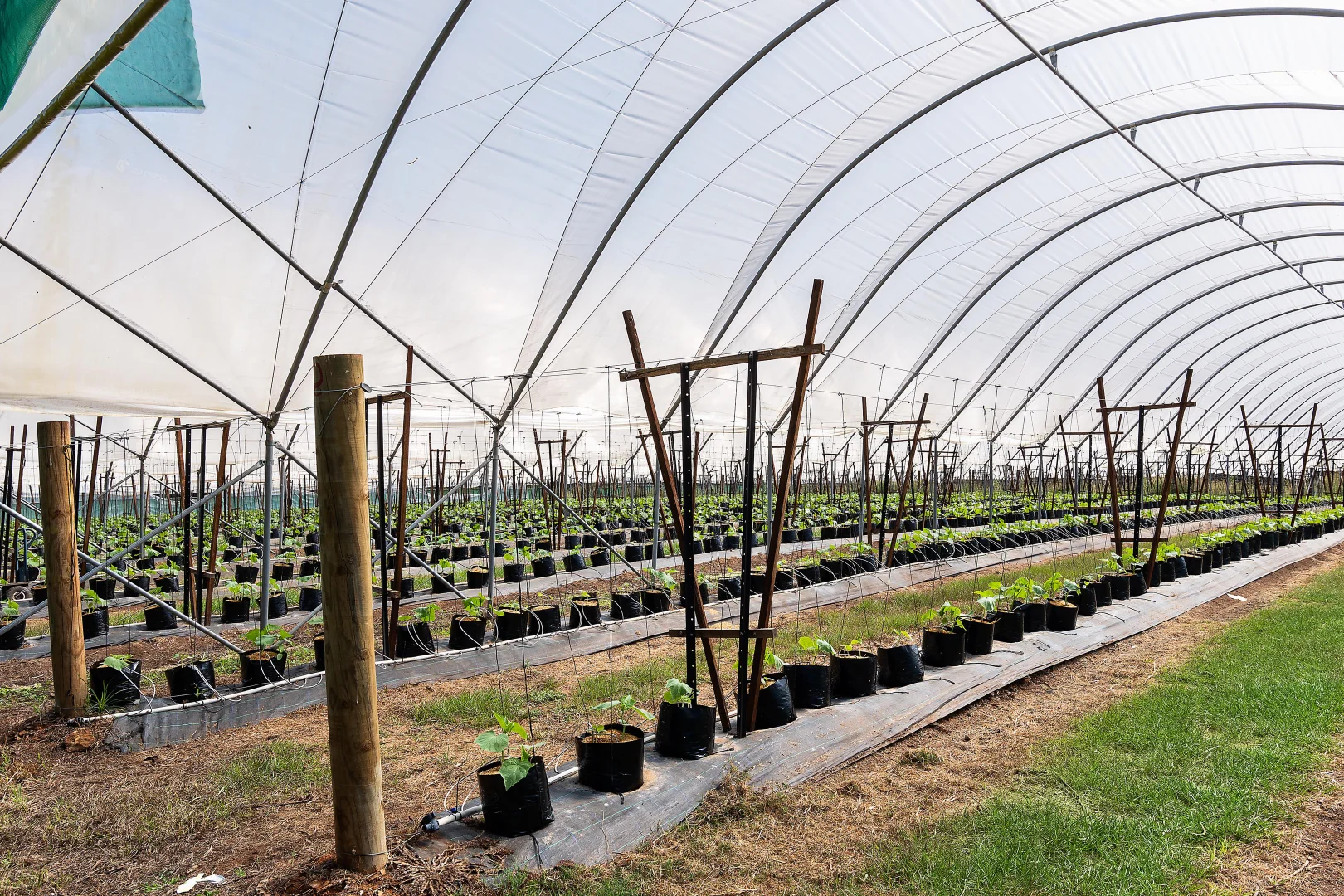 Additional image 5 of 26 Timber Top Road, Glenreagh NSW 2450