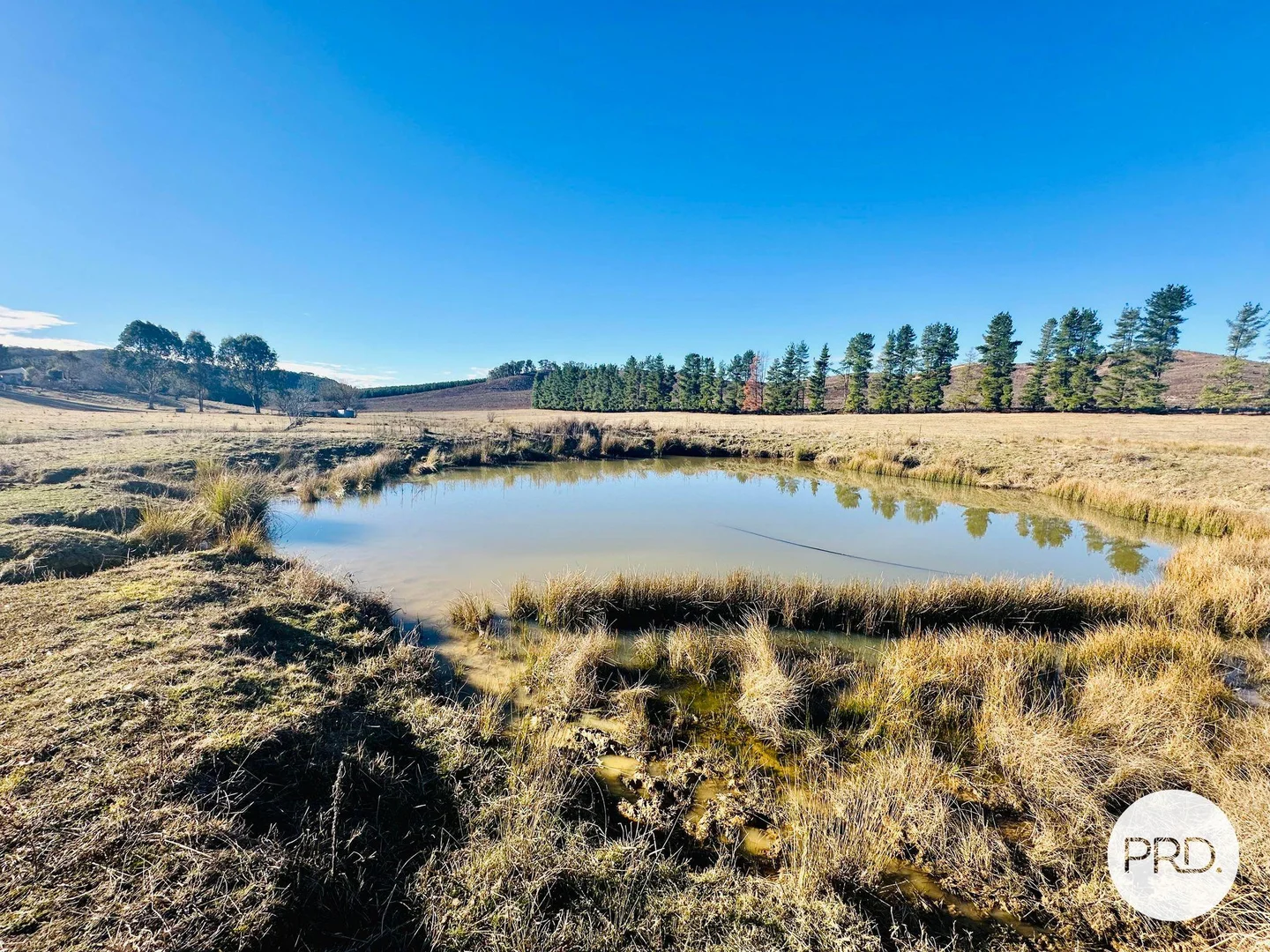 Additional image 22 of 233 Logans Road, Tumbarumba NSW 2653