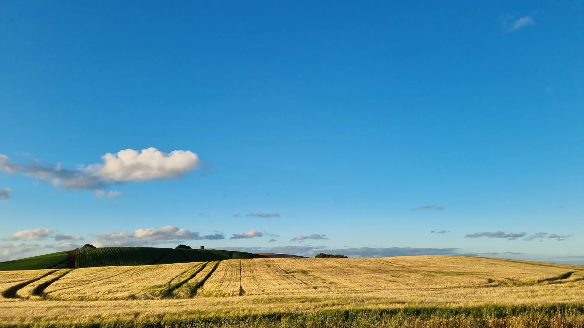 Additional image 15 of 299 Natone Road, Stowport TAS 7321