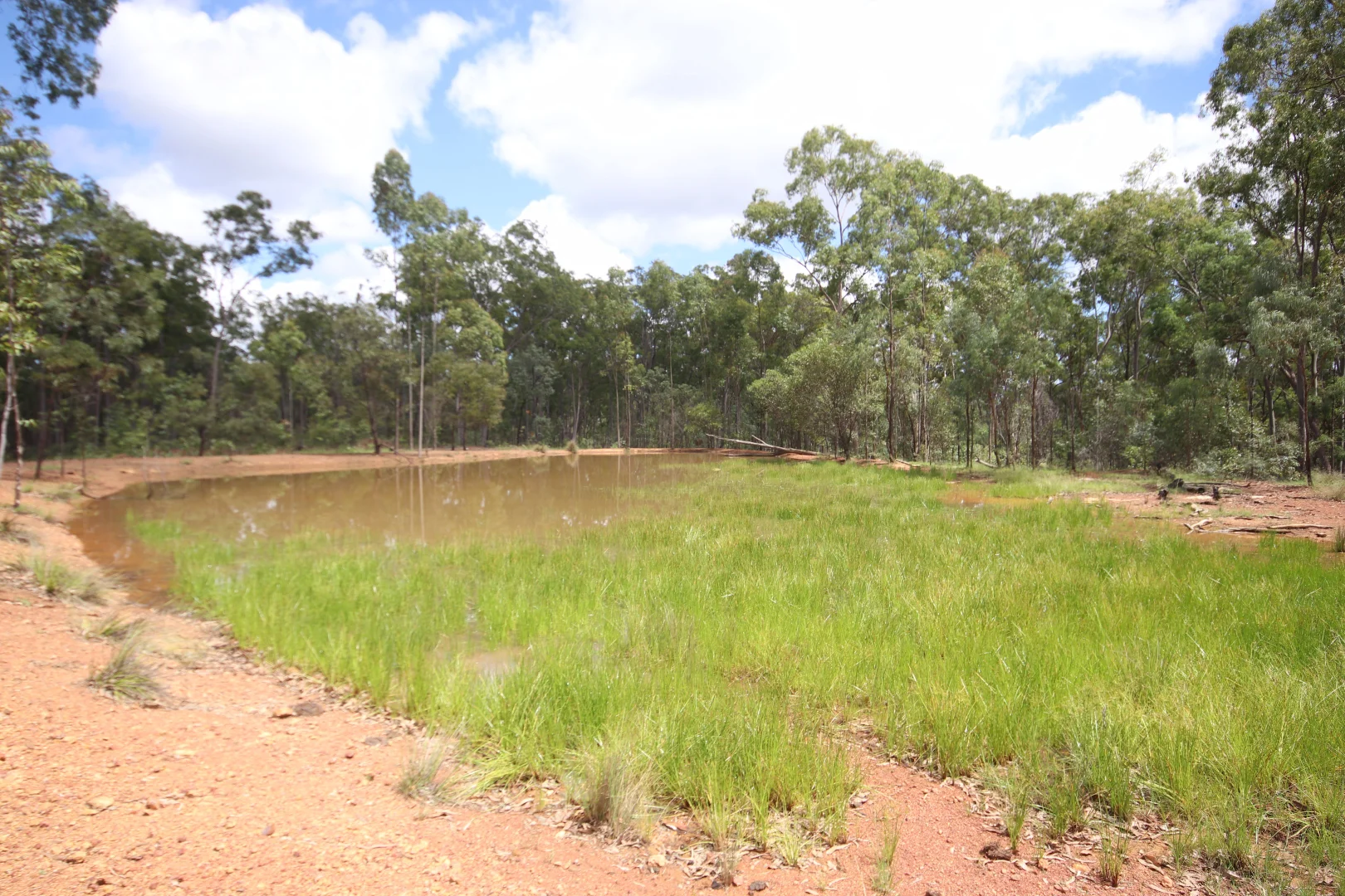 Additional image 10 of 'Greentree' Mundubbera-Durong Rd, Mundubbera QLD 4626