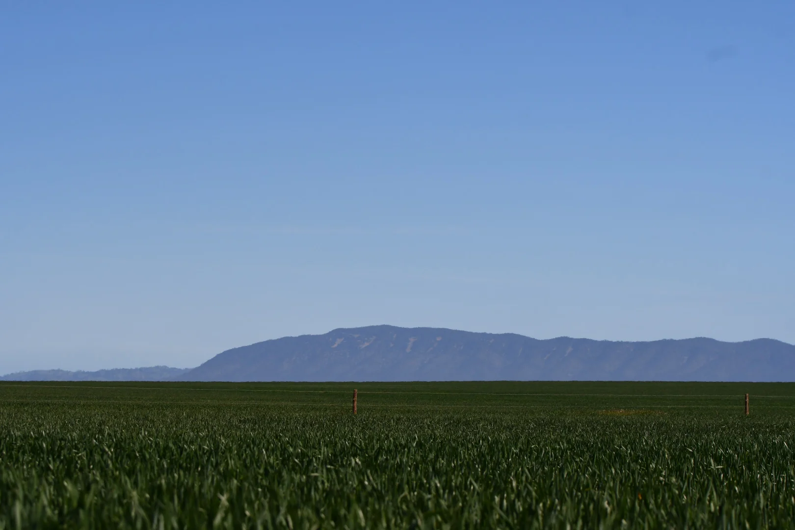 Additional image 2 of 26 Amyton Road, Willowie SA 5431